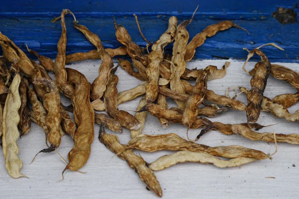 How to Choose a Quality Ashwagandha Powder: A Buyer’s Checklist